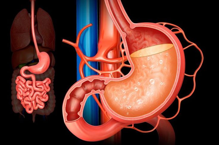 Digestion and Absorption