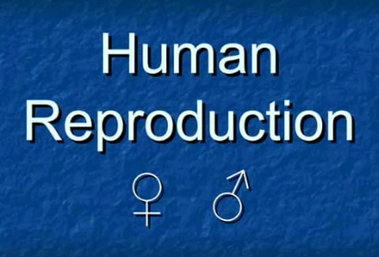 Human Reproduction